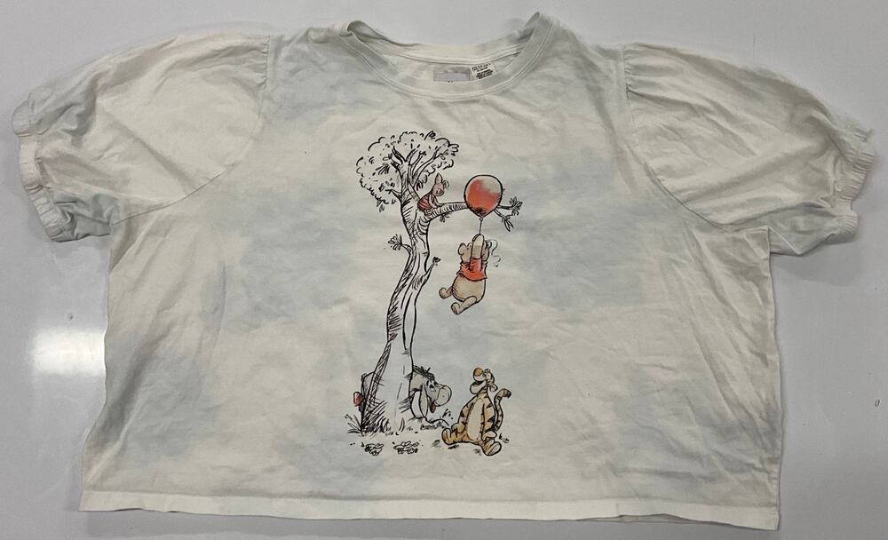Disney Parks Winnie the Pooh Tigger Eeyore Piglet 1X Crop Short Sleeve T-Shirt
